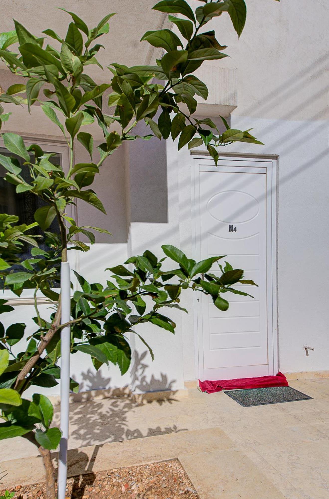 Apartment Cosy 3br With Backyard In Of By 360 Estates